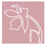 Orchid Beauty Boutique